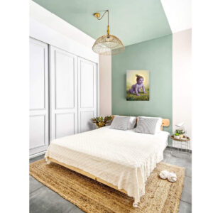 Bal Krishna Photo for Pregnancy